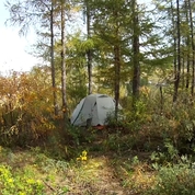 야외 텐트 설치