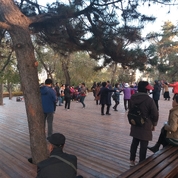 연길공원 춤꾼들