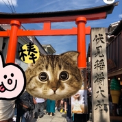 日本—京都(교우토)에 가면 추천할만한 3곳