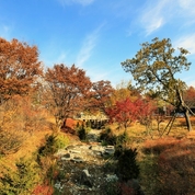 가을의 남산(서울)