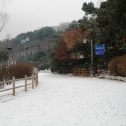 서울의 보라매공원