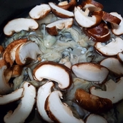 버섯 굴밥